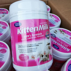 BBN Kitten Milk Formula